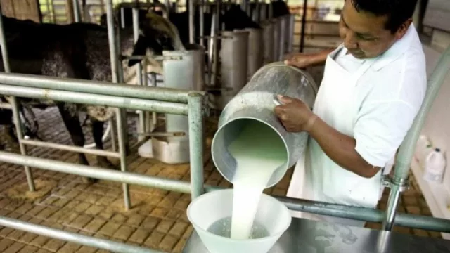 Con US$ 1.000 podés ser inversor de Conaprole (y cobrás los intereses en seis meses)