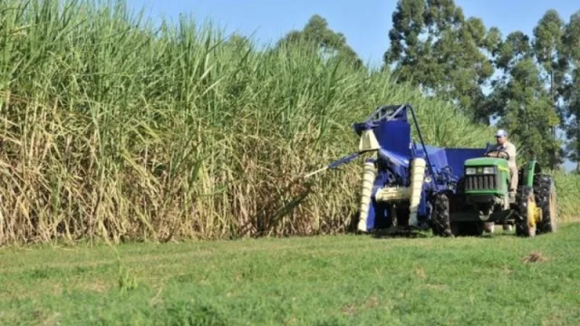 Cañeros de Jujuy y Salta registran pérdidas por más de $ 1.500 millones por la sequía