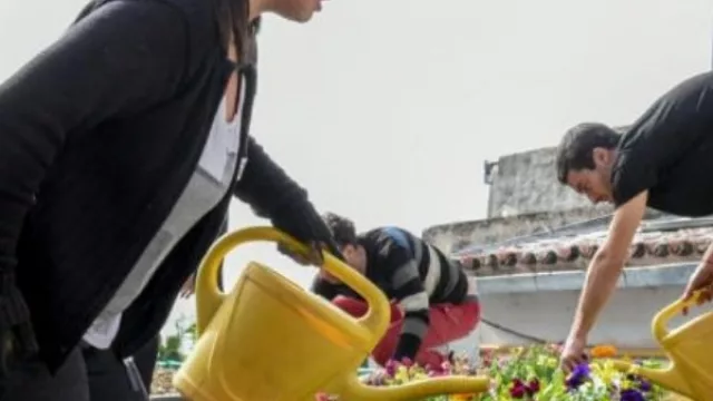 El 70% de los inmuebles de la ciudad de Córdoba podría tener techos verdes (a 2 años de la ordenanza municipal, existen menos de 100)