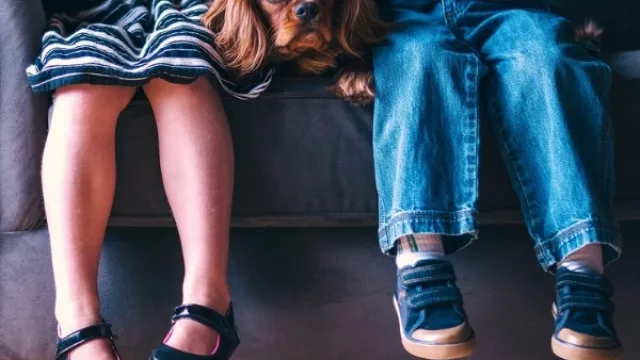 OSpaM, la prepaga para animales domésticos, proyecta tener 1.000 afiliados en un año