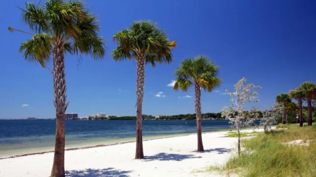 Miami: el top 15 de las mejores playas de la ciudad del sol (desde las más exóticas hasta las más exclusivas)