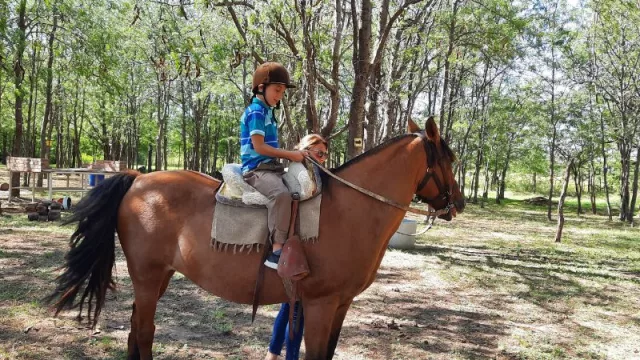 Andar a caballo en Sinsacate es sanador (conocé a Andares, la escuela de equinoterapia y equitación campera)