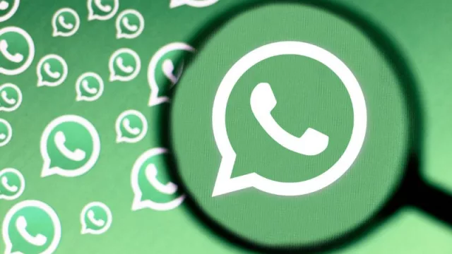 Nuevas funciones de WhatsApp: mirá cómo ganar dinero con tus estados, y cómo activar dos cuentas con un mismo teléfono