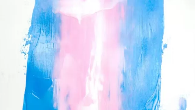 ‘Hay una epidemia de niños trans’: virus, metáforas y deshumanización