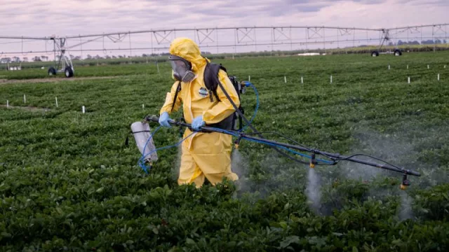 campo experimental en General Cabrera.
