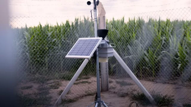 campo experimental en General Cabrera.