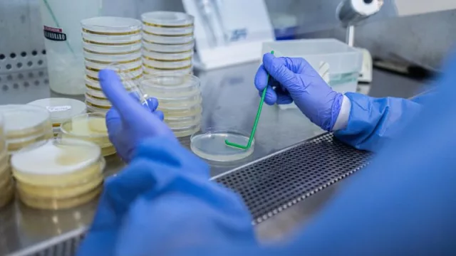 Laboratorio de JLA en General Cabrera.