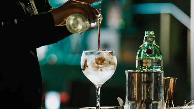 El Gin, desde Miami a la Argentina, no deja de crecer (quiénes son los principales consumidores de esta bebida en el mundo)