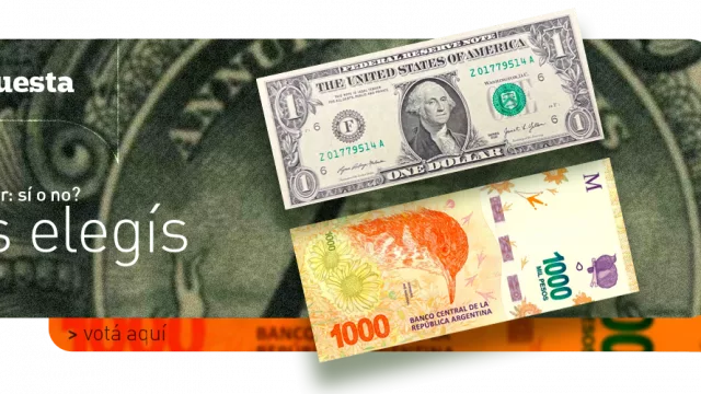 Dolarizar: ¿a favor o en contra? (dejá tu opinión y mirá como va la encuesta del momento)