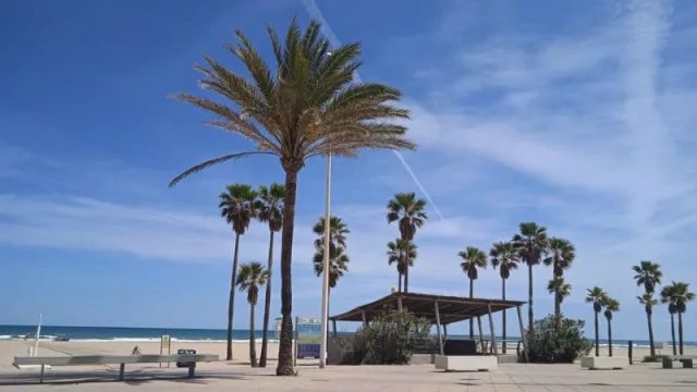 La Playa de Gandía (Valencia): un destino elegido por 4.500 jóvenes procedentes de Portugal (el viaje esperado: sol, playa, ocio y… fin del bachillerato)