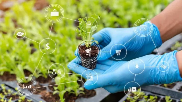 Los resultados permiten determinar comportamientos y variabilidad de rindes en una zona
determinada.