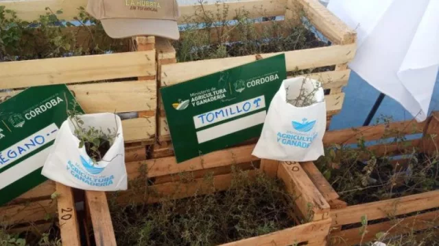 Se entregaron 45.000 kits de semillas de estación otoño/invierno a instituciones educativas municipales