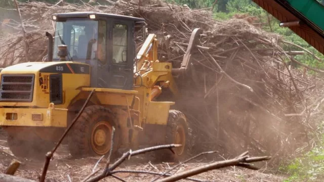Inversión privada de 40 millones de dólares en Misiones (Grupo Benicio lo hizo, y será una planta de biomasa en Oberá)