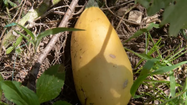 Fotos: Maxi Carranza.