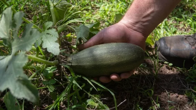 Fotos: Maxi Carranza.