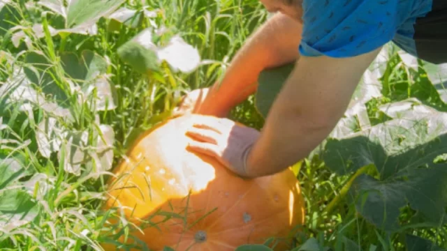 Fotos: Maxi Carranza.