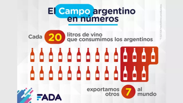 El campo en números - Vinos