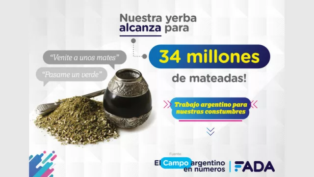 El campo en números - Yerba