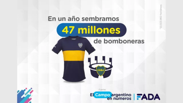 El campo en números - Siembra Bombonera