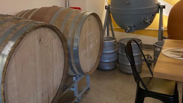 Slow Wines, una bodega urbana que pisa fuerte en Córdoba (donde podes tomar vino, claro, pero también ver cómo se hace)