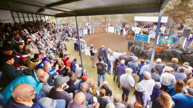 Una nueva edición de la Fiesta Nacional de la Ganadería con movida política (y el costillar más famoso del país)