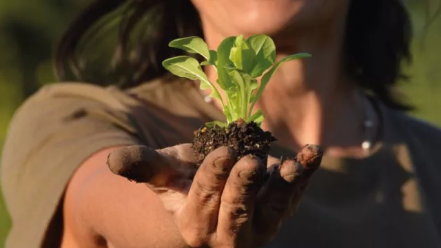 El campanario de Nono, un emprendimiento de economía circular y un estilo de vida (qué produce esta finca agroecológica)