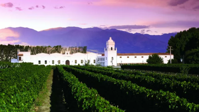 El Grupo Peñaflor invertirá US$ 15 millones para potenciar la bodega El Esteco