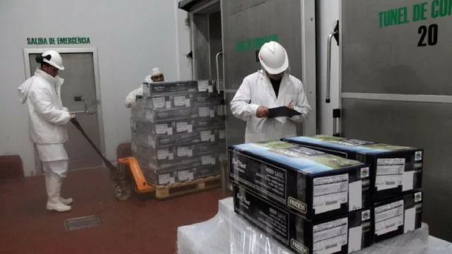 Frigorífico FRIDEVI lo hizo: la carne rionegrina ingresa al exigente mercado japonés
