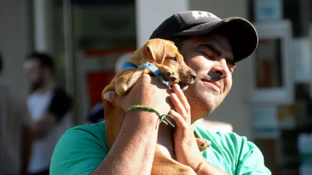 El Móvil Sanitario para Mascotas va a los barrios brindando atención para una tenencia responsable
