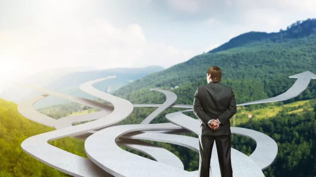 Qué es la “paradoja de Salomón” y cómo afecta la toma de decisiones