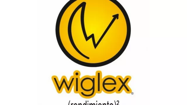 ¿Necesitas un compañero de estudio? Wiglex viene a darte una mano (una app que te organiza)