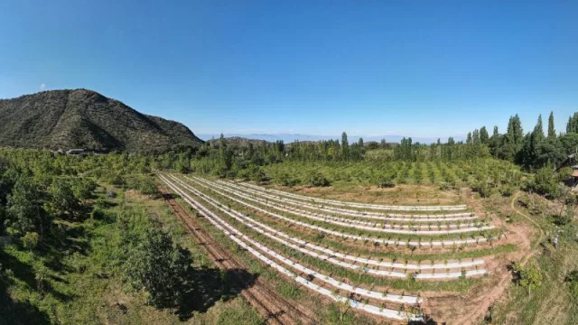 La Rioja inauguró la primera finca de turismo cannábico de la región de Cuyo (y de todo el país)