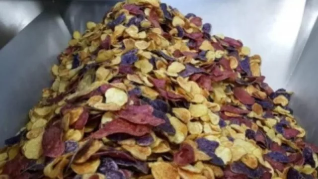 Proyectos científicos de Jujuy recibieron $ 100 millones para el desarrollo de ciencia aplicada