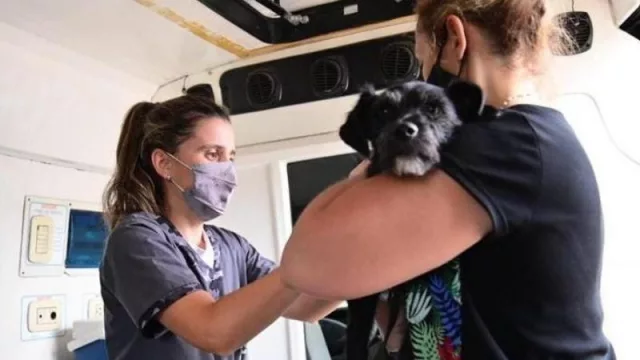 El móvil de vacunación para mascotas continúa recorriendo la ciudad
