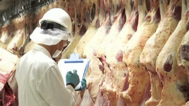 Taiwán repite y vuelve a pedir más: se triplica el envío de carne paraguaya al país asiático