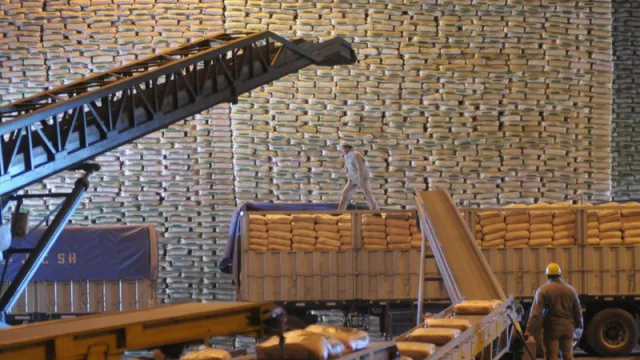 Las heladas no afectaron la cosecha y se espera un número millonario de toneladas de azúcar