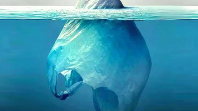 Hoy es el Día Mundial Libre de Bolsas de plásticos y Paper impulsa su alternativa: papel (en Libertad, Buenos Días y Mariano Max)