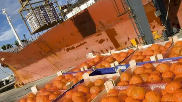 Después de 10 años, se retomaron las exportaciones de frutas misioneras a Brasil