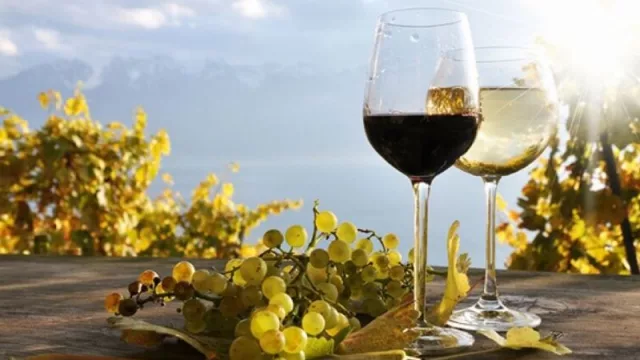 Récord de exportación de vinos fraccionados argentinos: Salta participa con el 12% en ese mercado