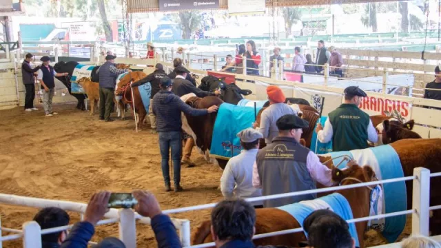 La expo Rural de Jesús María tiene fecha: del 5 al 10 de septiembre (y tiene el 90% de sus espacios vendidos)