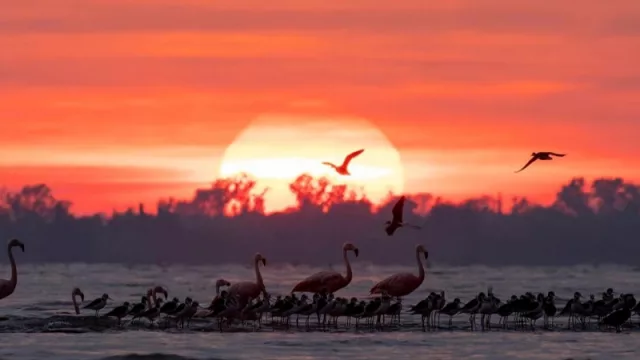 El Parque Nacional Ansenuza cumplió un año (y todavía no se lo puede visitar)