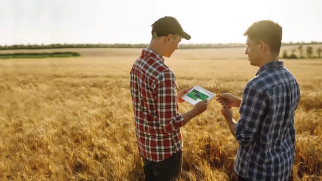 Digitalización en el agro: cómo convertir los datos en decisiones