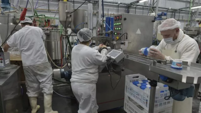 BICE desembolsó $ 50.000 millones en el primer semestre para el fomento de la producción nacional