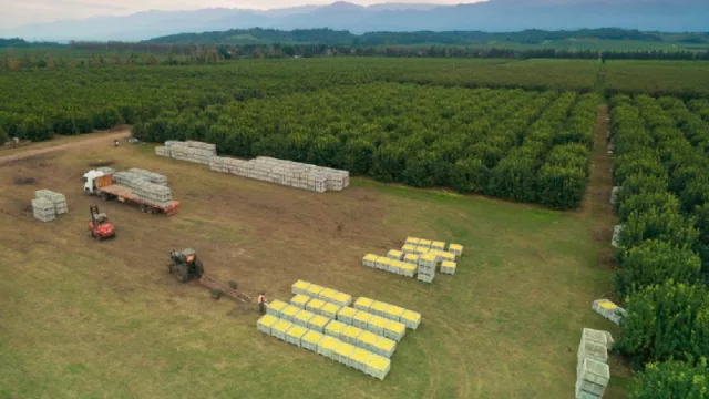 San Miguel suma aliados comerciales para colocar sus productos en el hemisferio norte