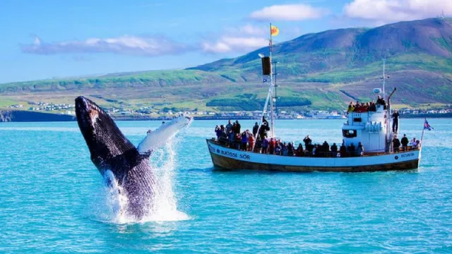 Resultados de encuesta