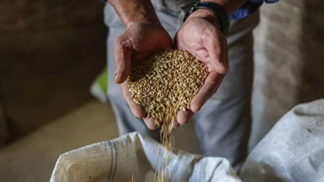 Las cooperativas también traccionan: superaron los 3.800 millones de dólares de exportaciones (las cordobesas entre las principales jugadoras de ese complejo exportador)