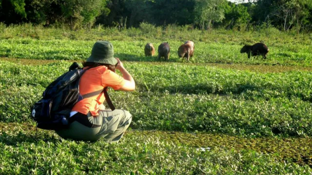 Exitosa convocatoria para el Fondo de Desarrollo Turístico en la provincia de Corrientes