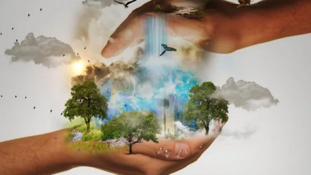 Estos sencillos propósitos ambientales nos ayudarán a ser más sostenibles en 2022