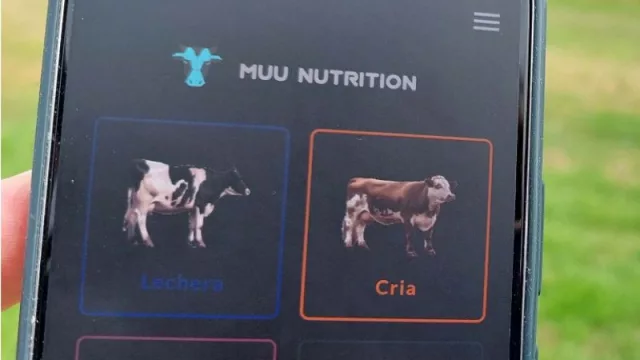 Santafesinos lanzaron una app para calcular raciones de alimentos para mascotas (ya funciona en Brasil, Egipto, Turquía y Alemania)