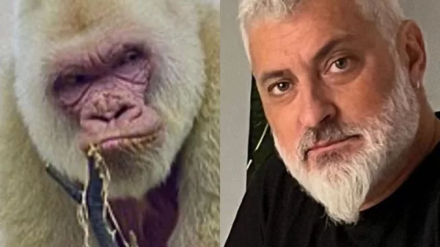 Quién era Copito, el gorila con el que Schiaretti compara a José Palazzo (y por qué La Renga no tocará en Córdoba)